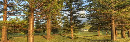 Norfolk Island Golf Clubhouse (PBH4 00 19010)